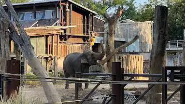 Photo de Zoological Gardens Karlsruhe