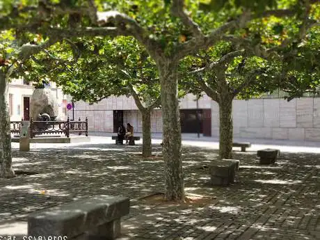 Photo de Plaza de Viriato