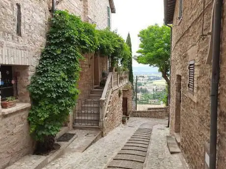 Photo de Panoramic View