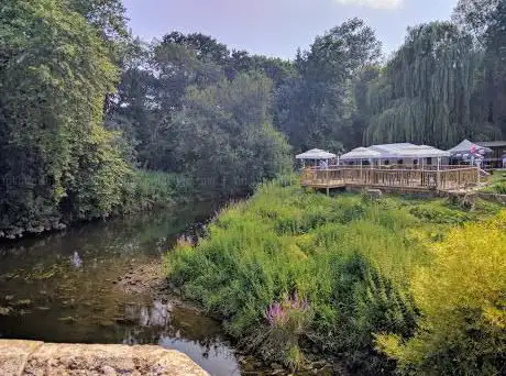 Pulborough Park Plantation