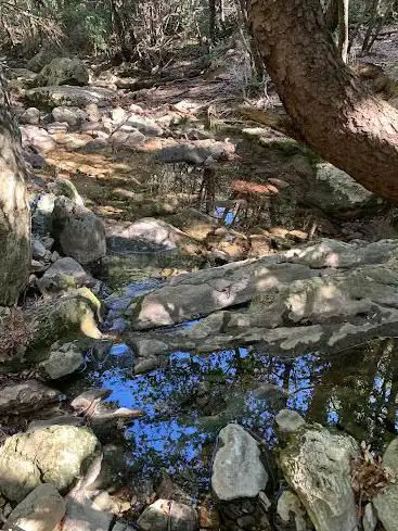 Sources de l'Huveaune