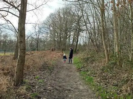 Vallei van de Serskampse Beek