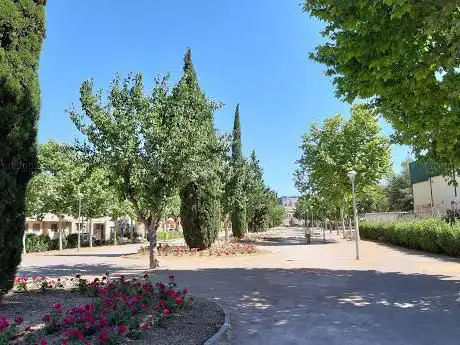 Photo de Las moreras