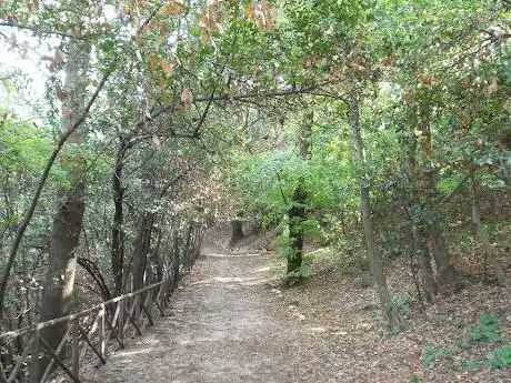 Photo de Bosco Mancinforte