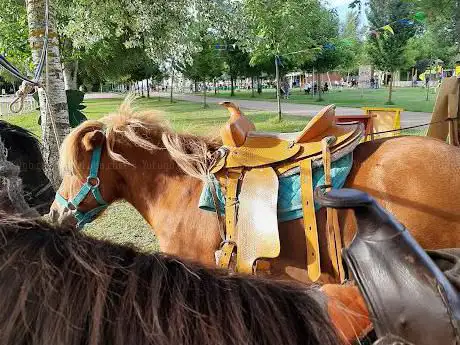 Photo de Ponyclub León