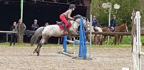 Photo de Centre Equestre Laos du Roncerais