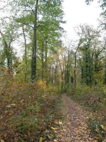 Kägenwald