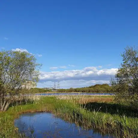 Photo de Possil Marsh