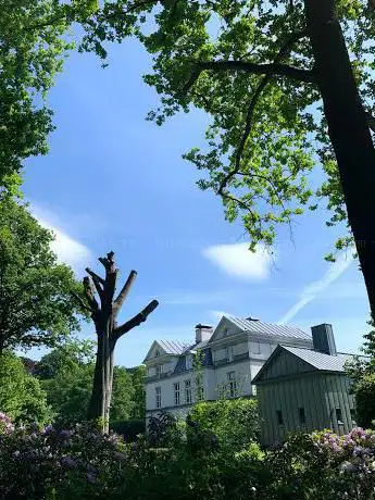 Beukendreef