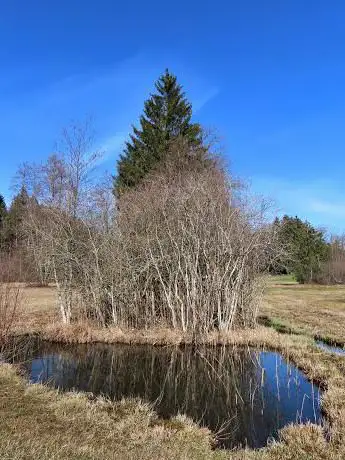 Drumlinlandschaft