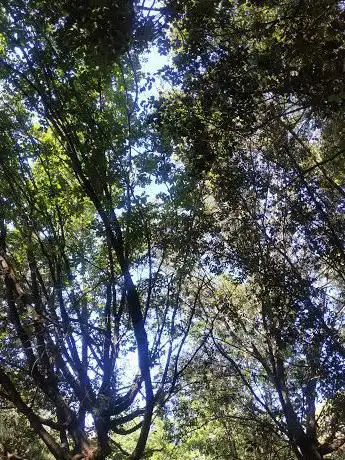 Photo de La Pinada Park