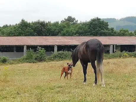 Photo de El rincón de finca el Carmen