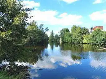 Photo de Arboretum de l'Ile de la Ronde