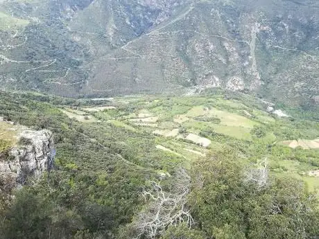 La vedetta