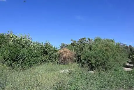 Giardino dei Patriarchi dell'Unità d'Italia
