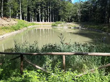 Photo de Lago lunare