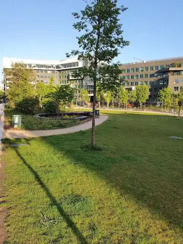 Photo de Le jardin Fertile