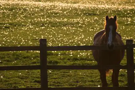 Photo de Deep Mill Farm
