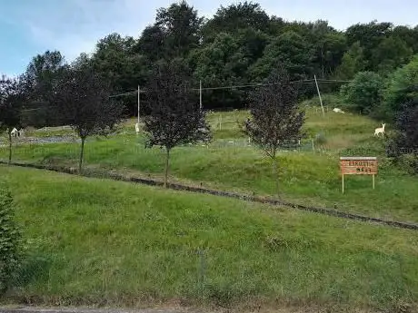 Vittoria Farm