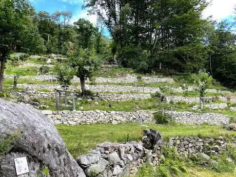 Perbioi