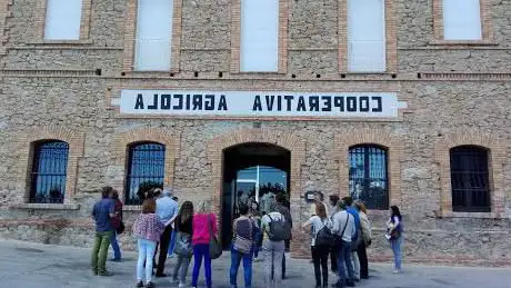 Photo de Museu de l'Oli de Catalunya