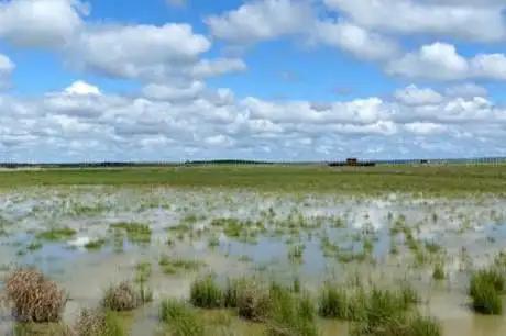 Photo de Laguna de El Oso (ZEPA)