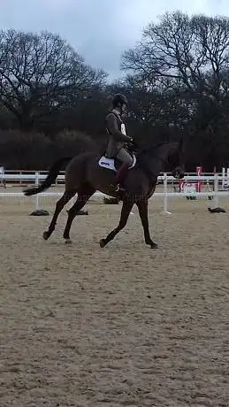 Photo de Moreton Equestrian Centre