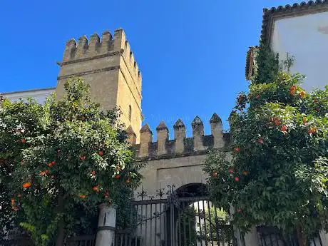 Photo de Palais des marquis du Carpio