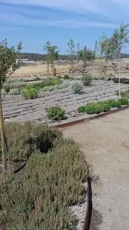 Photo de Finca del Rebellao