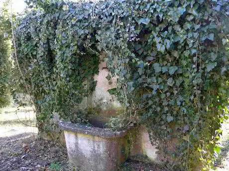 Alter Friedhof Münsingen