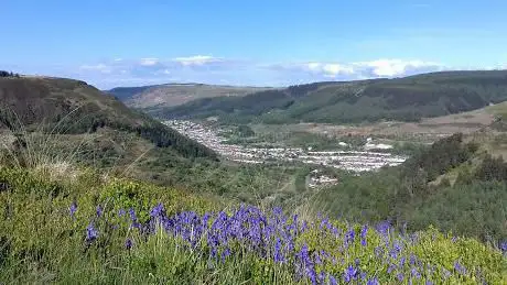 Berw Nant Yr Ychen