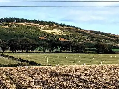 Photo de Mormond Hill White Horse