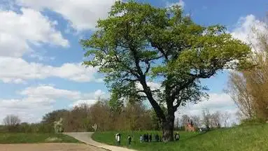 Fährturm Nordheim - Verein für Heimatgeschichte Nordheim e.V.