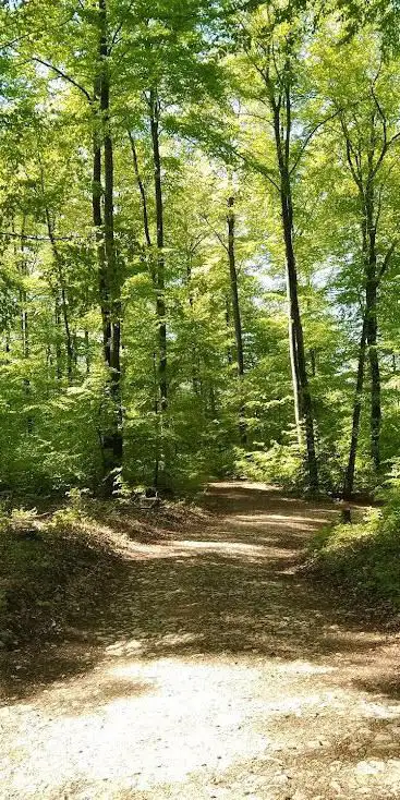 Arlesheim Trail Start