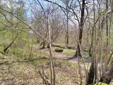 Photo de Grass Wood Nature Reserve