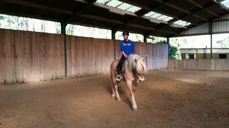 Photo de Centre Equestre de Vaux-et-borset