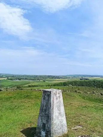 Wardlow Hay Cop