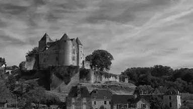 Photo de Château de Salignac