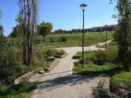 Photo de Parco di Ponte Ladrone