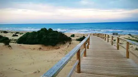 Photo de Playa del Campo