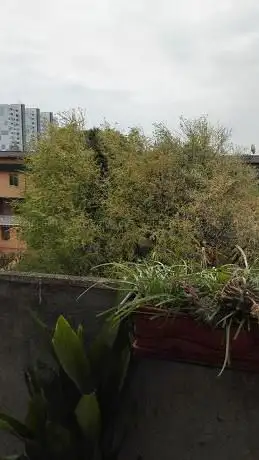 Parco di via Michelangelo