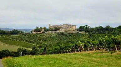 Photo de Château de Benauge