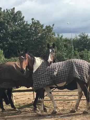 Photo de Oakview Stables Riding School