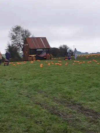 Photo de Maxwell's Pumpkin Patch