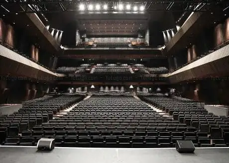 Photo de Salle Pleyel
