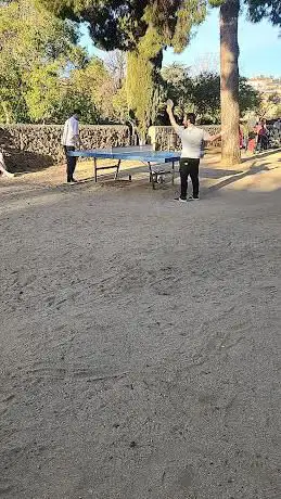 Ping-pong Tables
