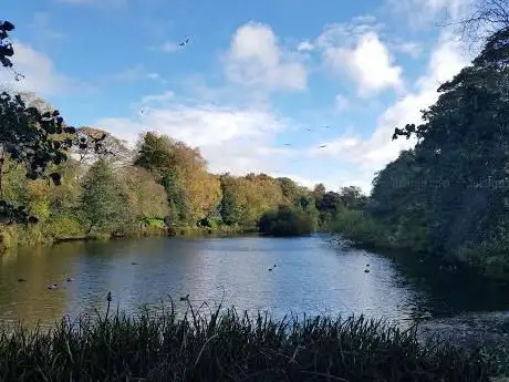 Photo de Blackford Pond