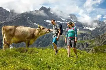 Tourist Info of the holiday region Andermatt