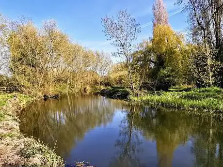 Photo de Bull Meadow