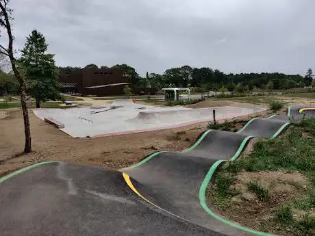 Photo de Skatepark landévant